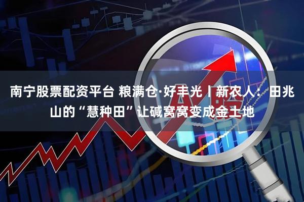 南宁股票配资平台 粮满仓·好丰光丨新农人：田兆山的“慧种田”让碱窝窝变成金土地