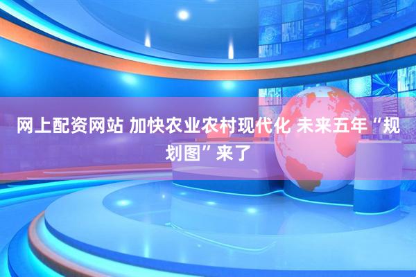 网上配资网站 加快农业农村现代化 未来五年“规划图”来了